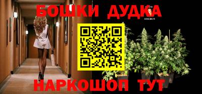 стаф Жуковский