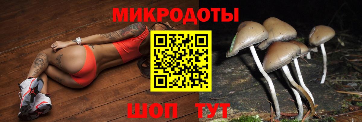Галлюциногенные грибы Psilocybe  Вход с VPN  Шатура 